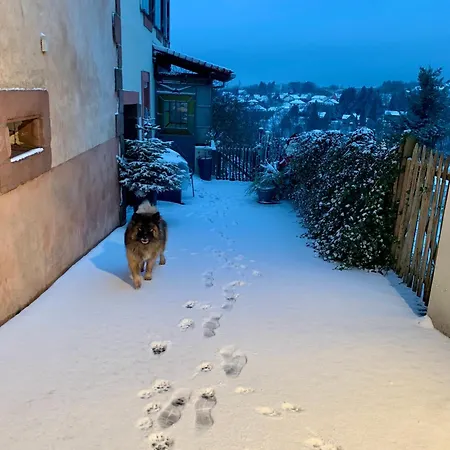 Le 38 A Goetzenbruck, Chez Barbara *