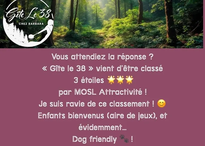 Le 38 A Goetzenbruck, Chez Barbara, 53m2 Daire